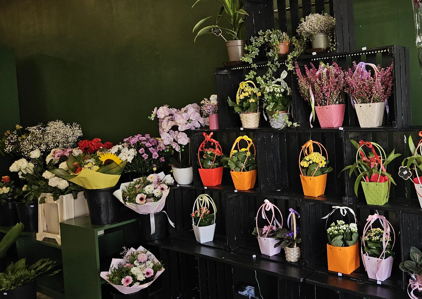 Świeże kwiaty cięte w pracowni florystycznej Afera Kwiatowa w Bydgoszczy